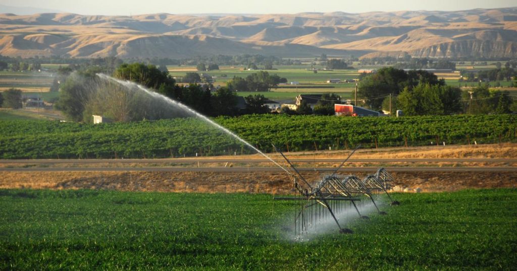 مدیریت مصرف آب کشاورزی