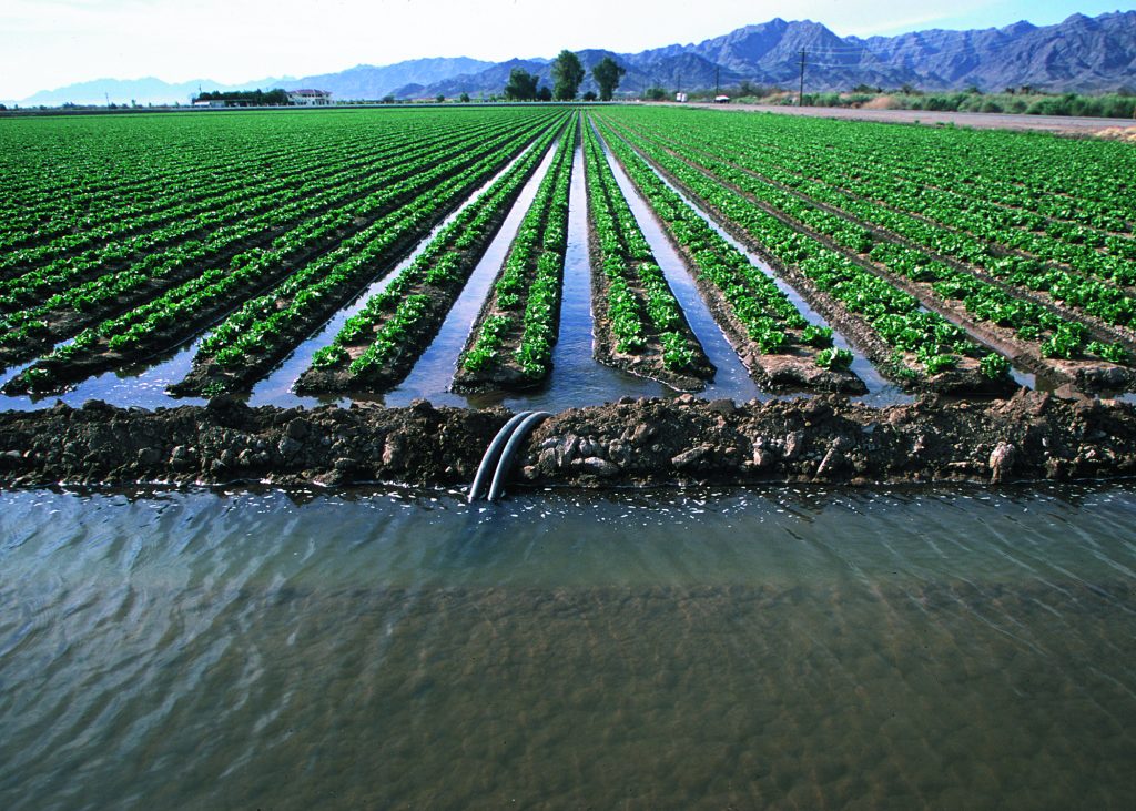 آب مزرعه کم شده چطور کم مصرف کنیم ؟